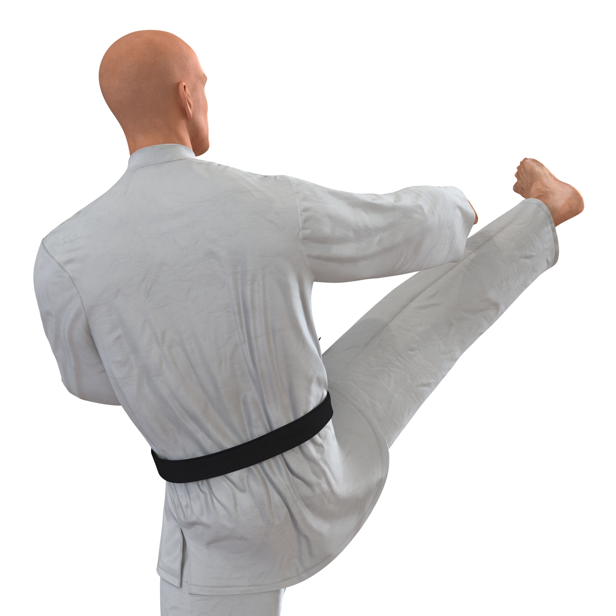 3D Karate Fighter Pose 2