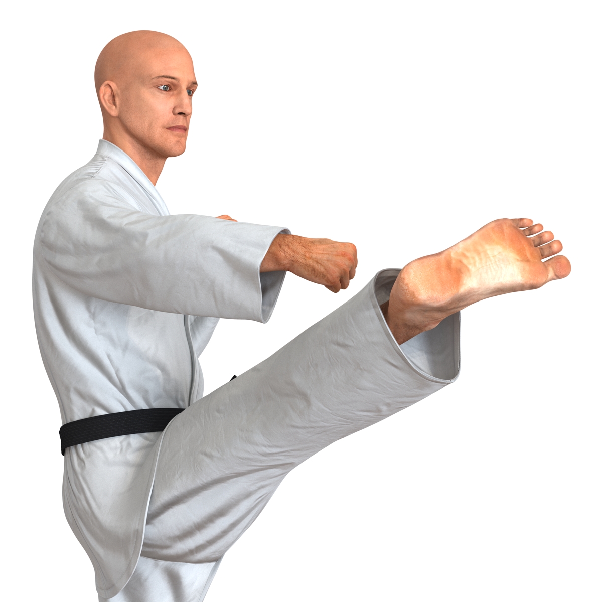 3D Karate Fighter Pose 2