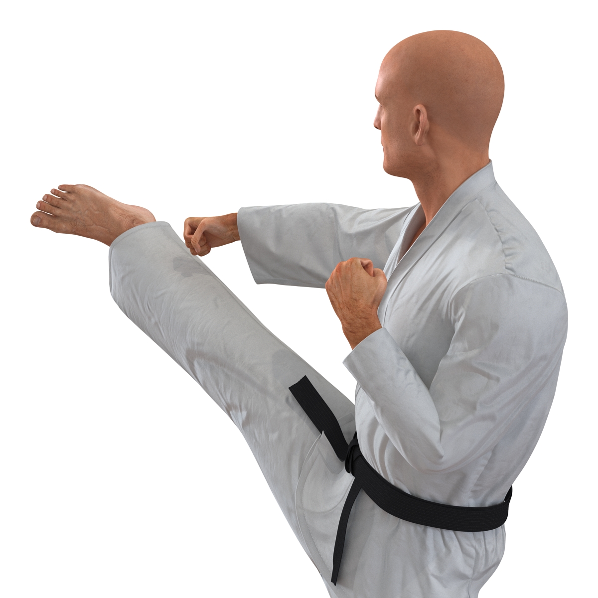 3D Karate Fighter Pose 2