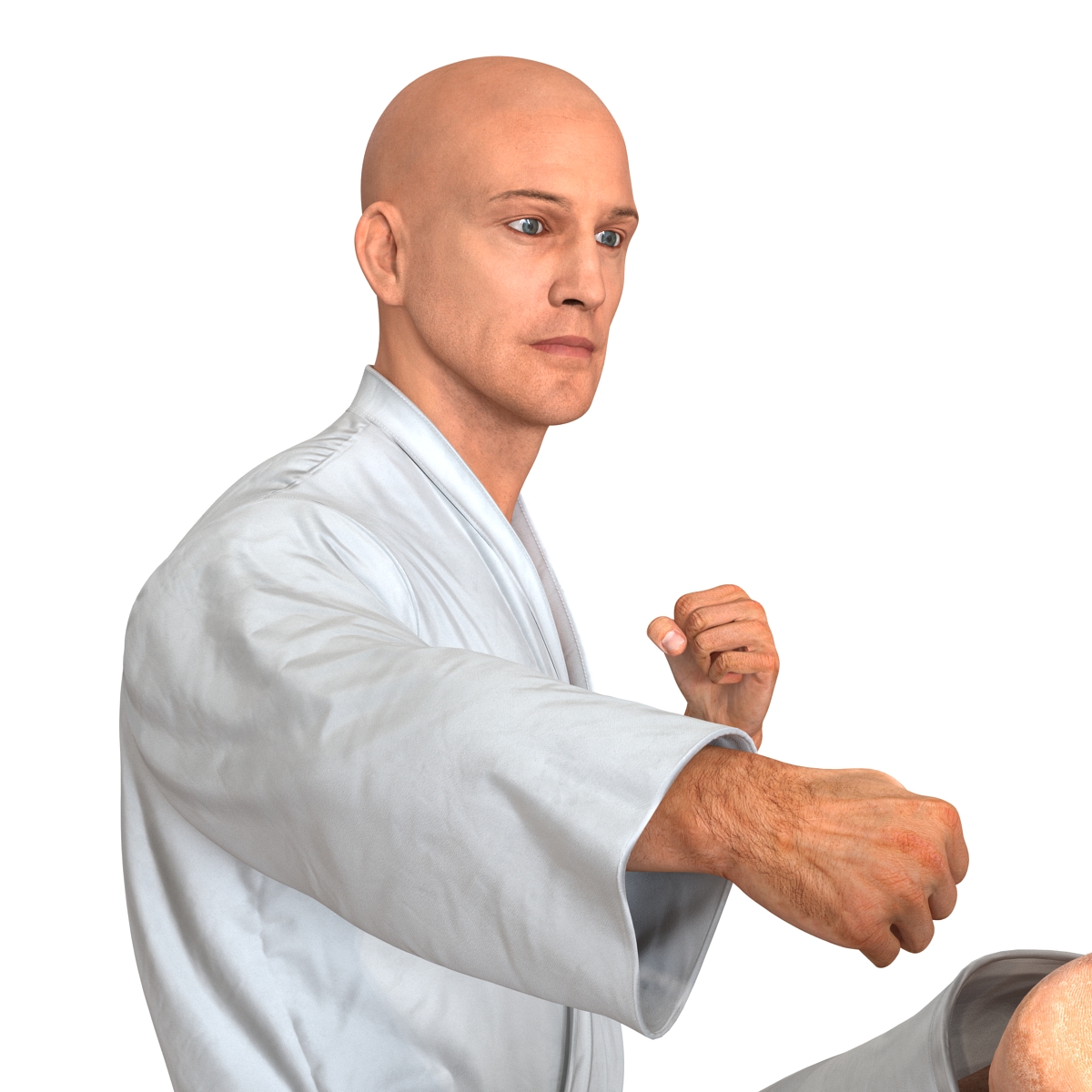 3D Karate Fighter Pose 2