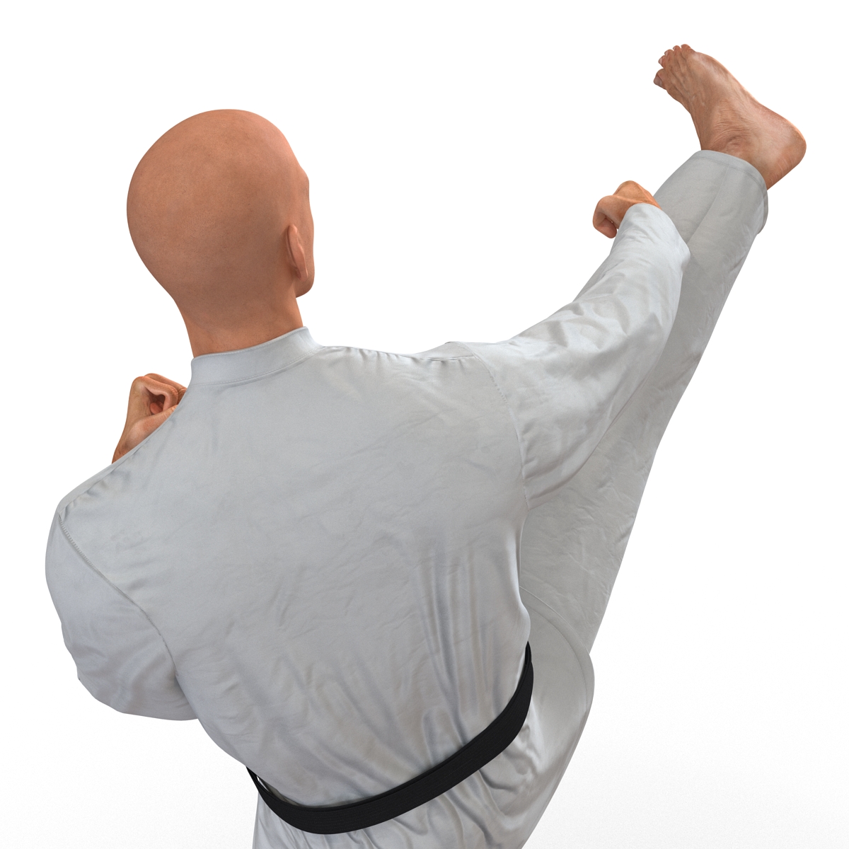 3D Karate Fighter Pose 2