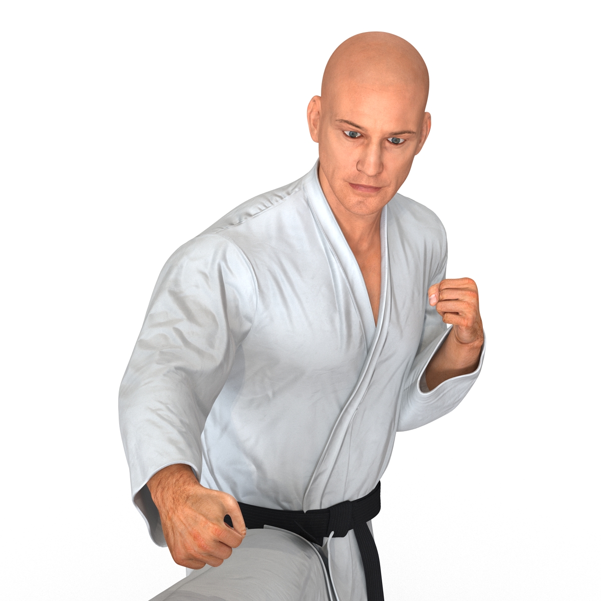 3D Karate Fighter Pose 2