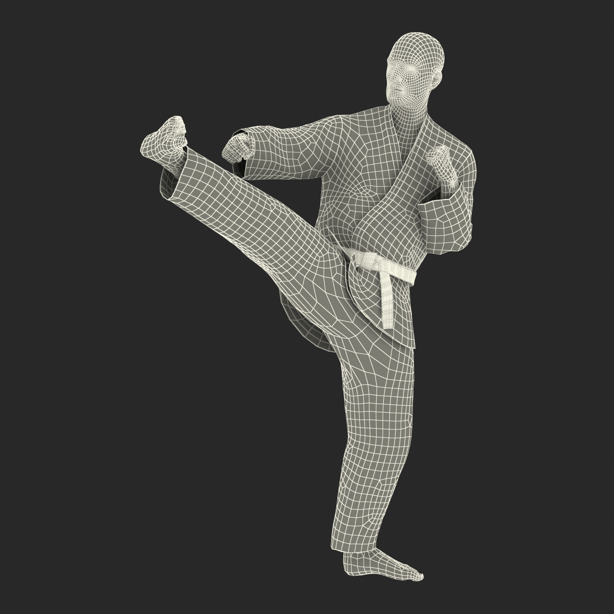 3D Karate Fighter Pose 2