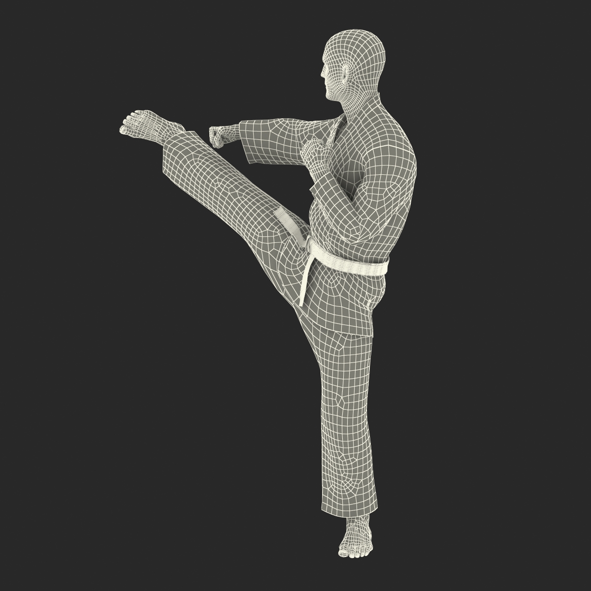 3D Karate Fighter Pose 2