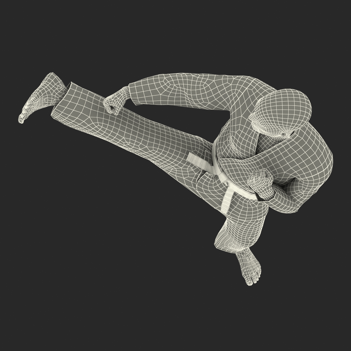 3D Karate Fighter Pose 2