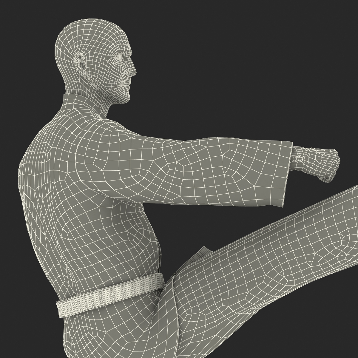 3D Karate Fighter Pose 2