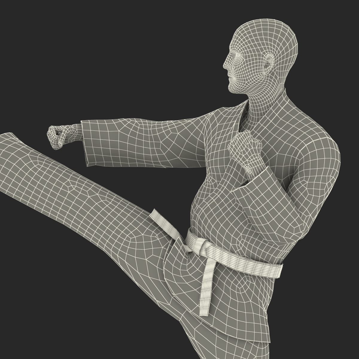 3D Karate Fighter Pose 2