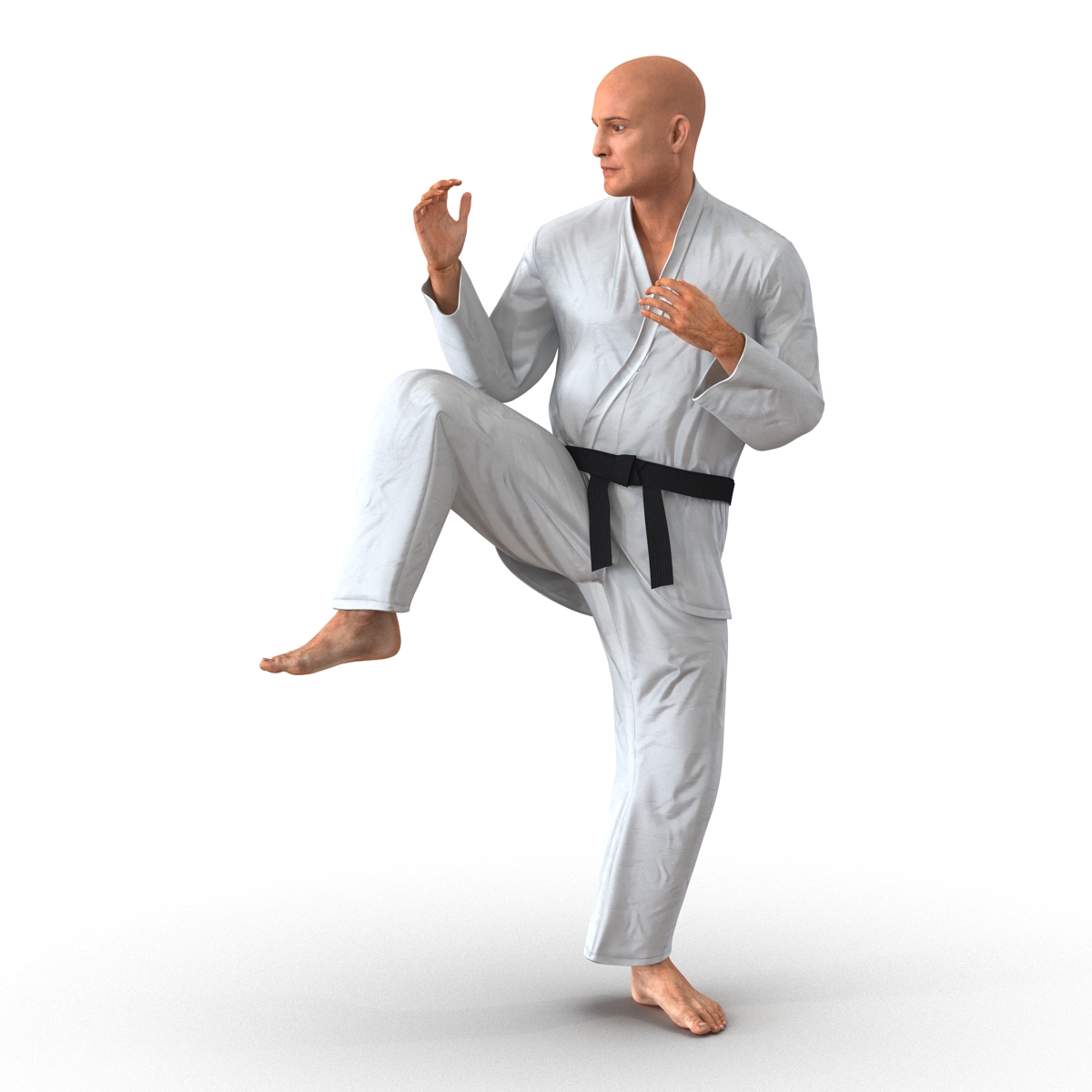 3D Karate Fighter Pose 3