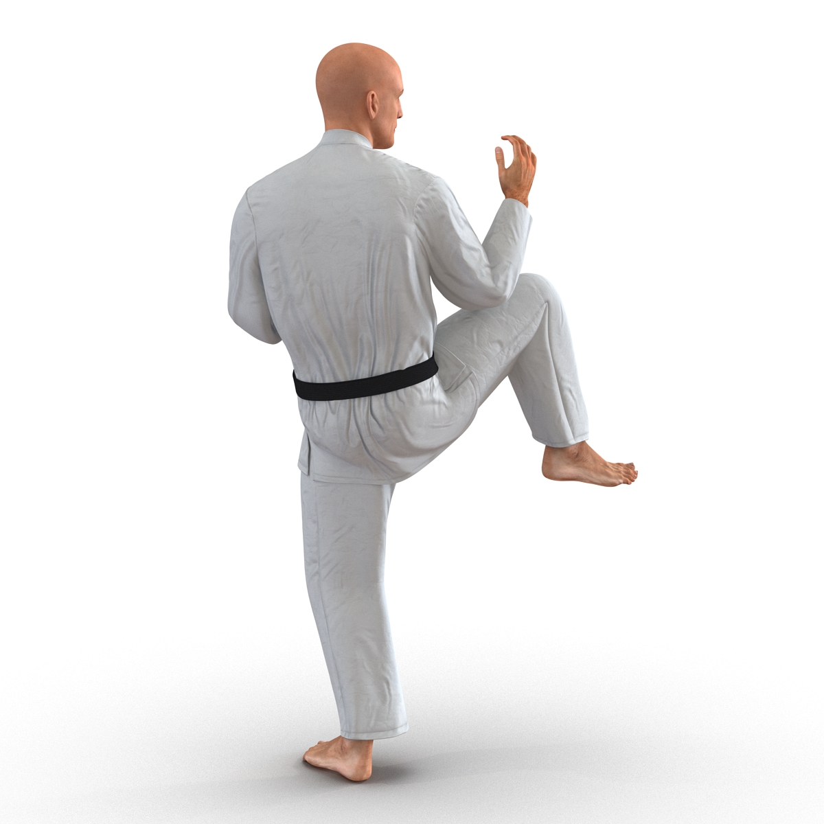 3D Karate Fighter Pose 3