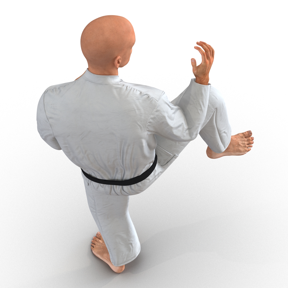 3D Karate Fighter Pose 3