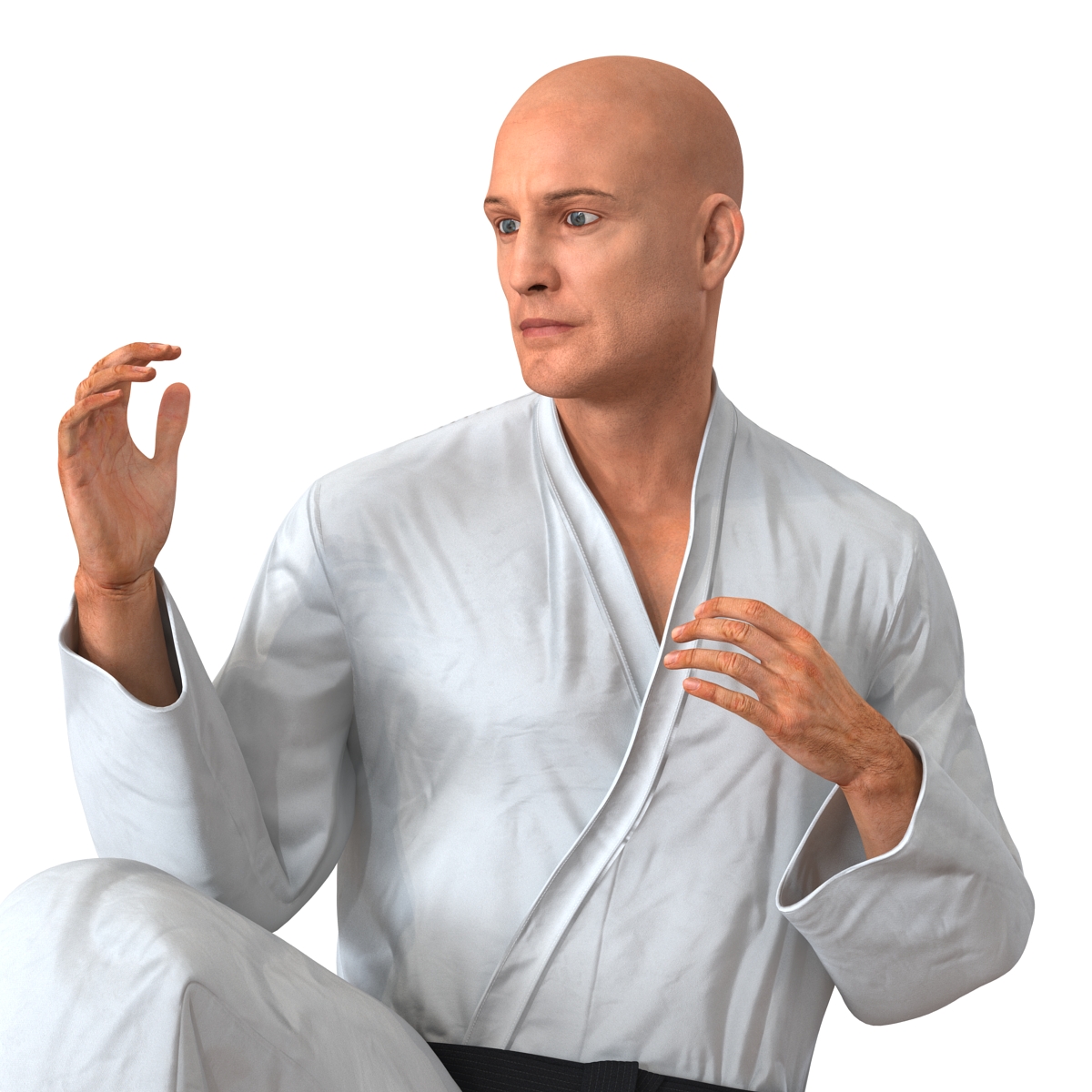 3D Karate Fighter Pose 3