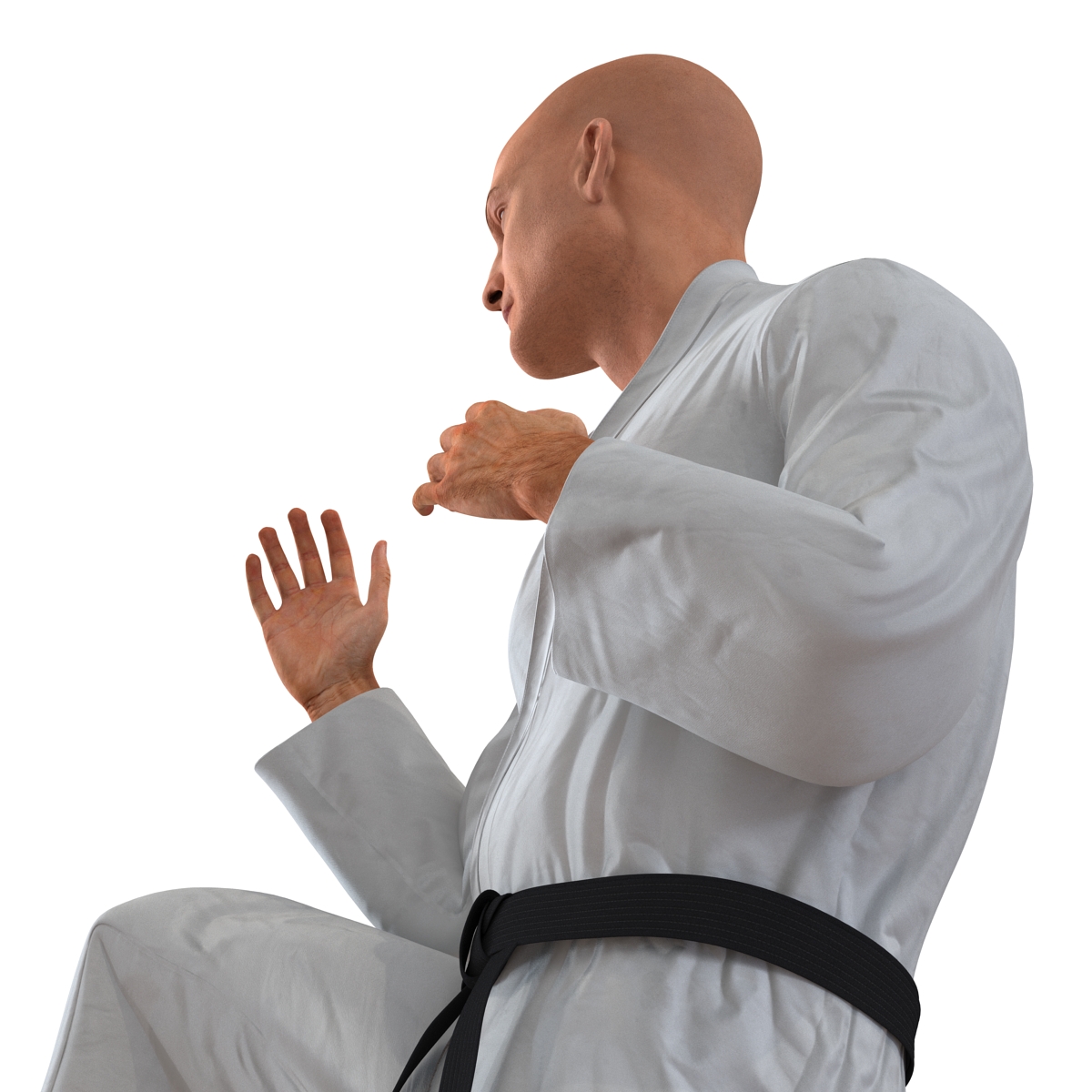 3D Karate Fighter Pose 3