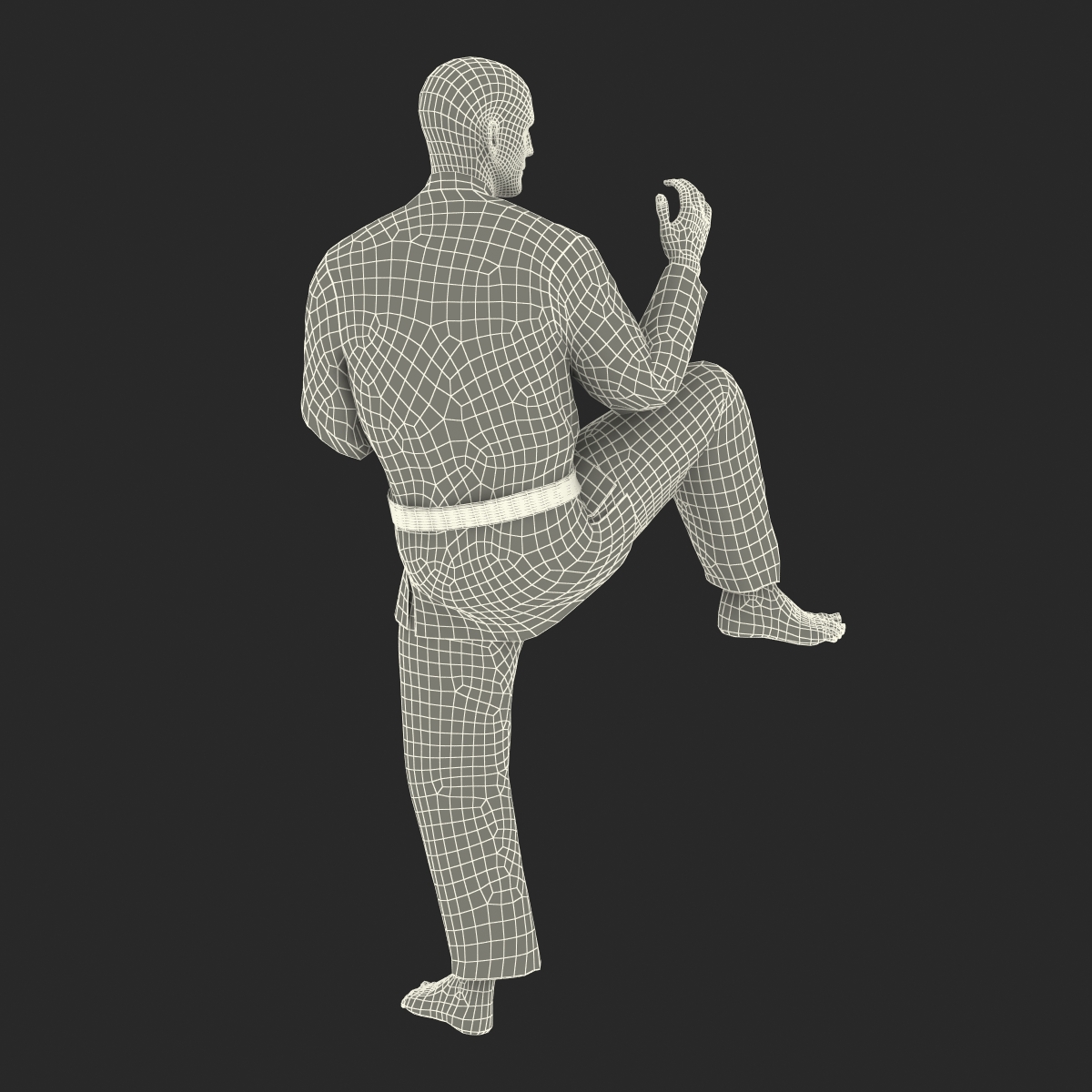 3D Karate Fighter Pose 3