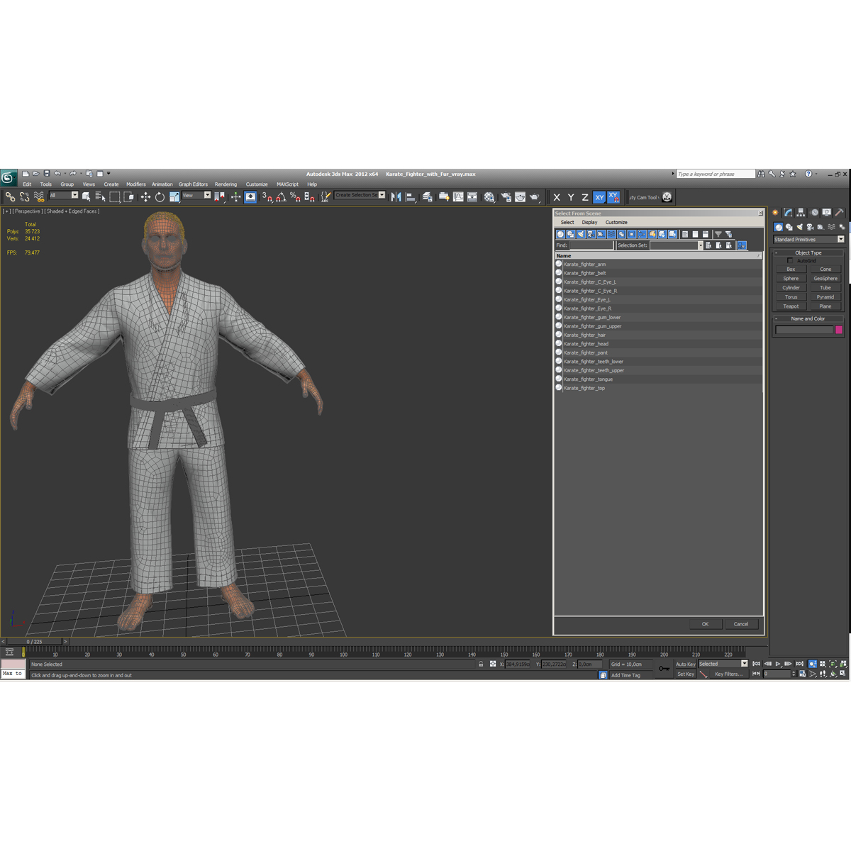 3D Karate Fighter with Fur model