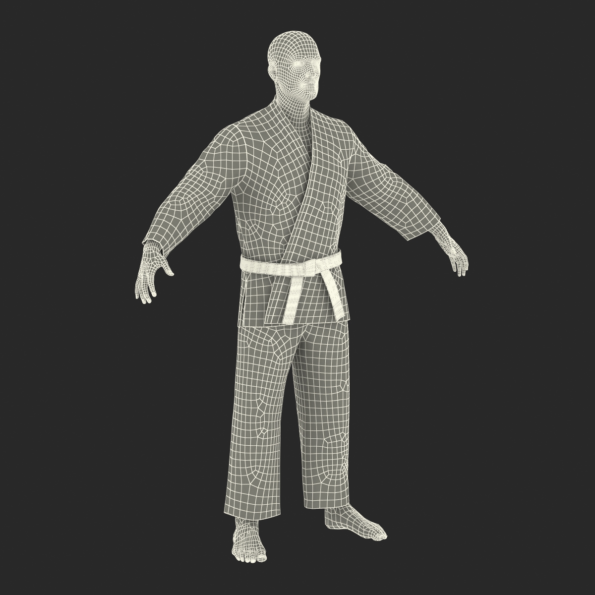 3D Karate Fighter with Fur model