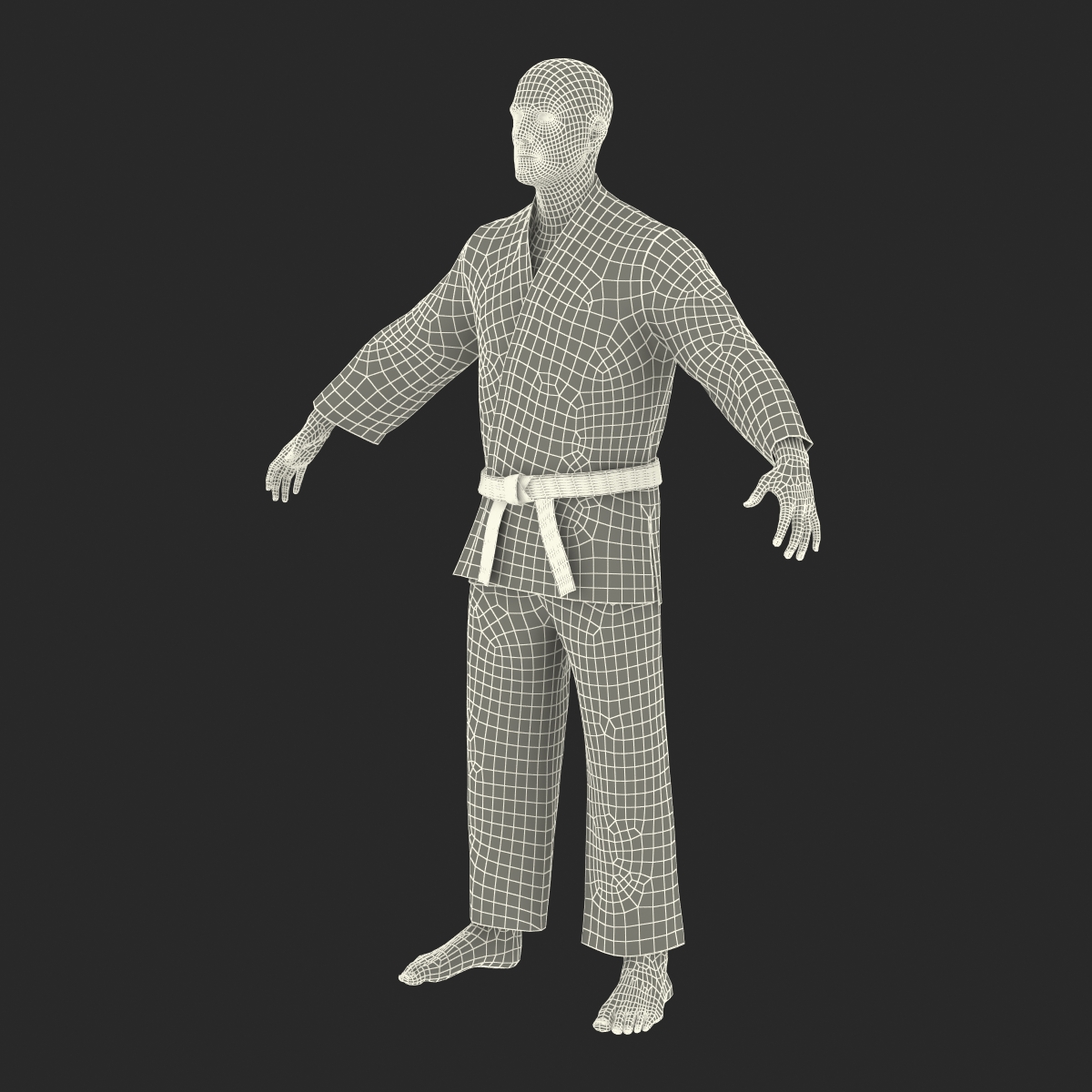 3D Karate Fighter with Fur model