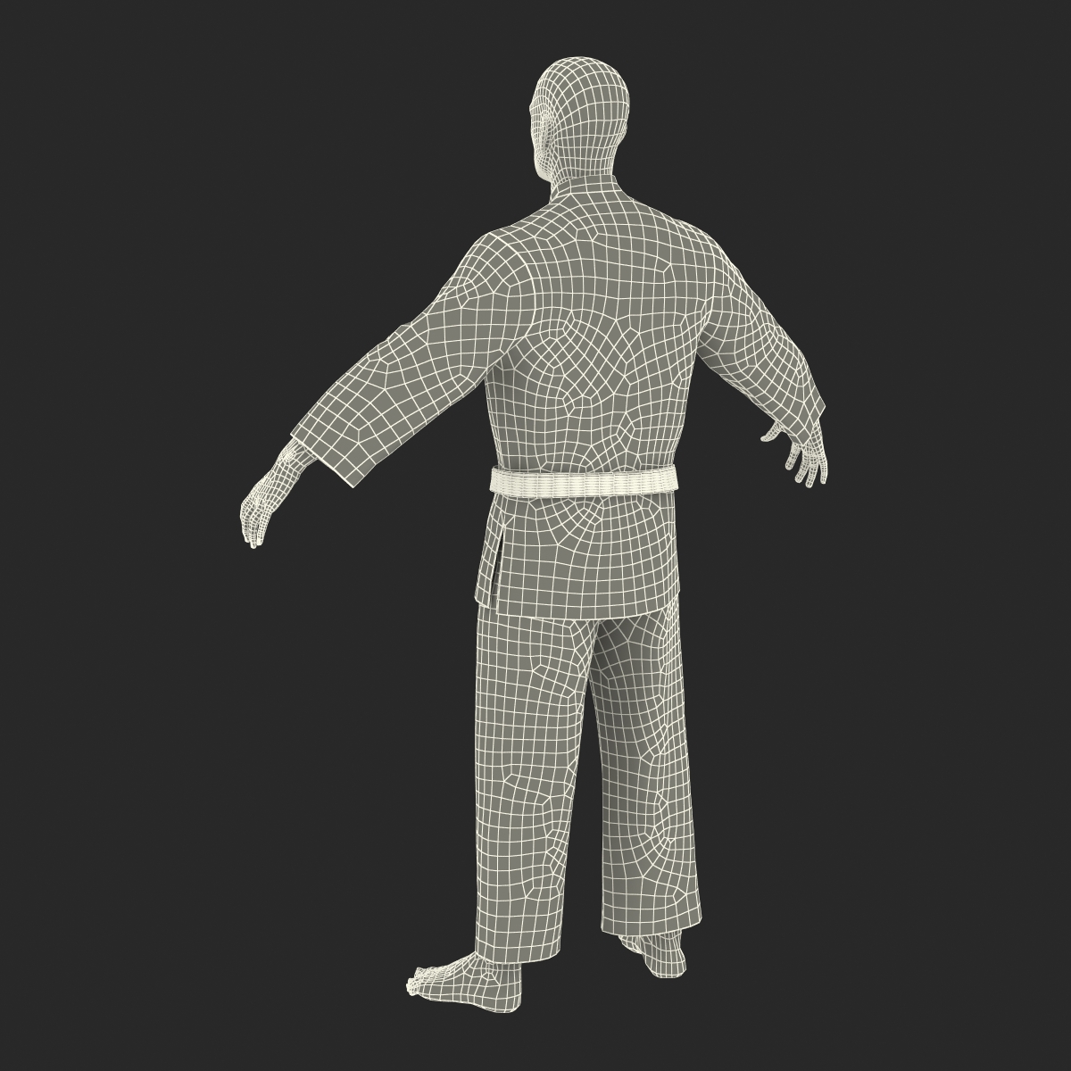 3D Karate Fighter with Fur model