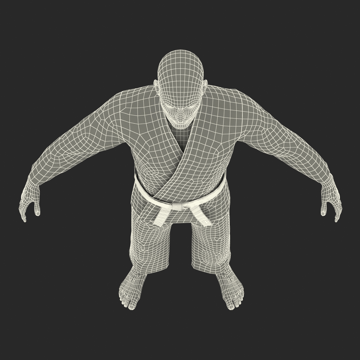 3D Karate Fighter with Fur model