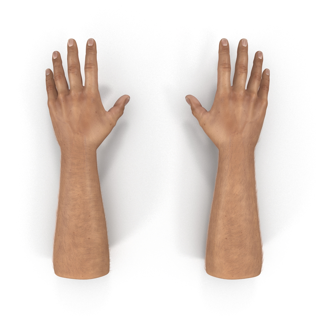 3D Man Hands with Fur model