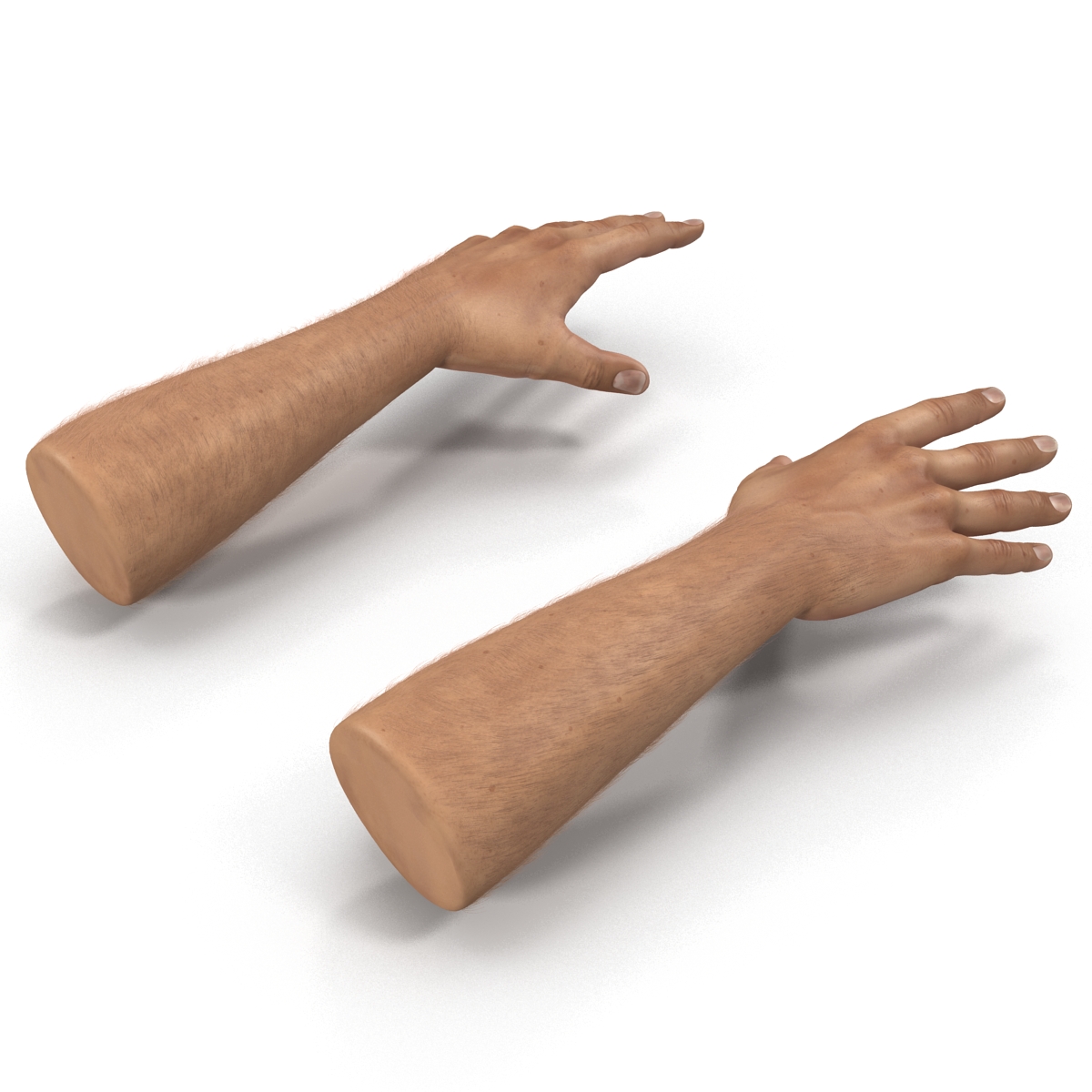 3D Man Hands with Fur model