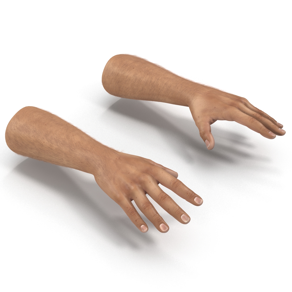 3D Man Hands with Fur model