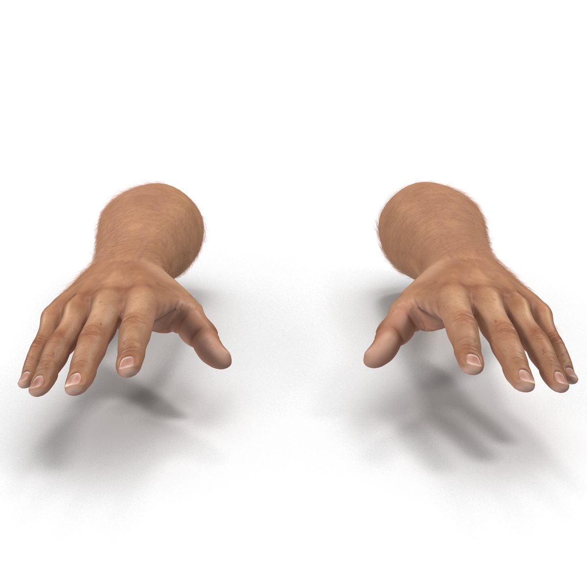 3D Man Hands with Fur model