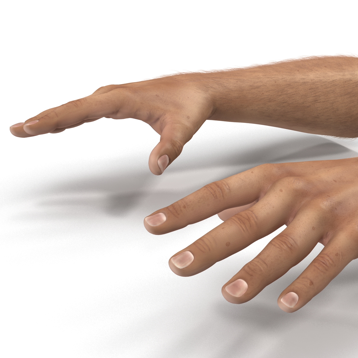 3D Man Hands with Fur model