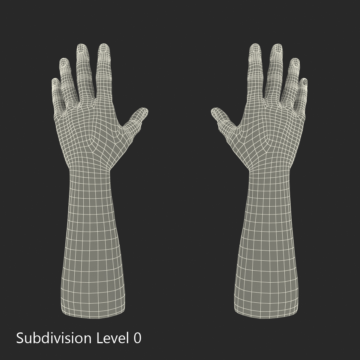 3D Man Hands with Fur model