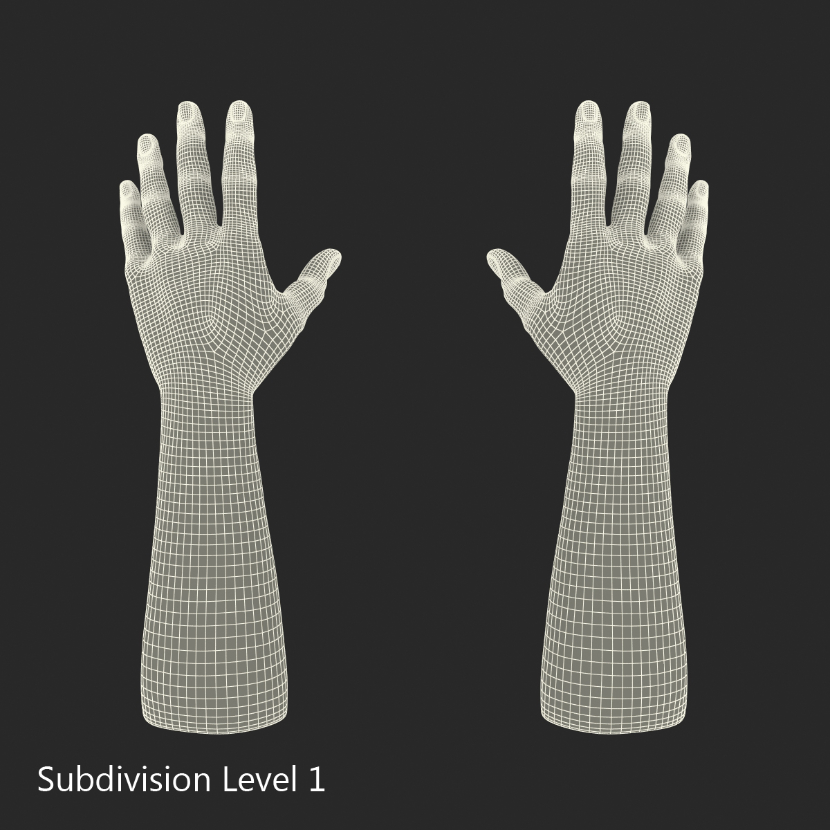 3D Man Hands with Fur model