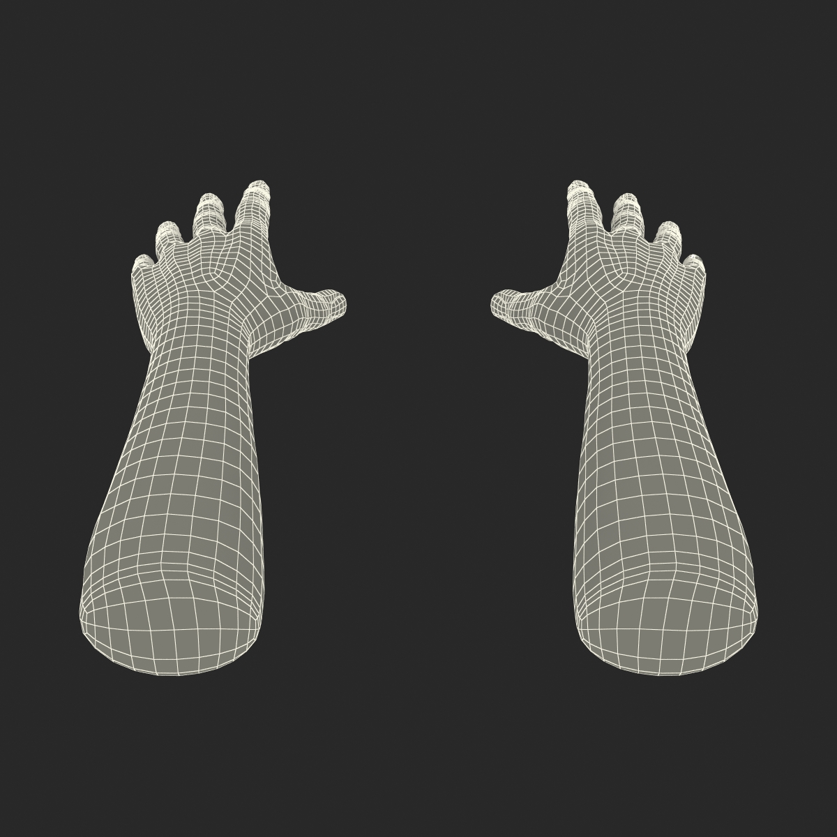 3D Man Hands with Fur model