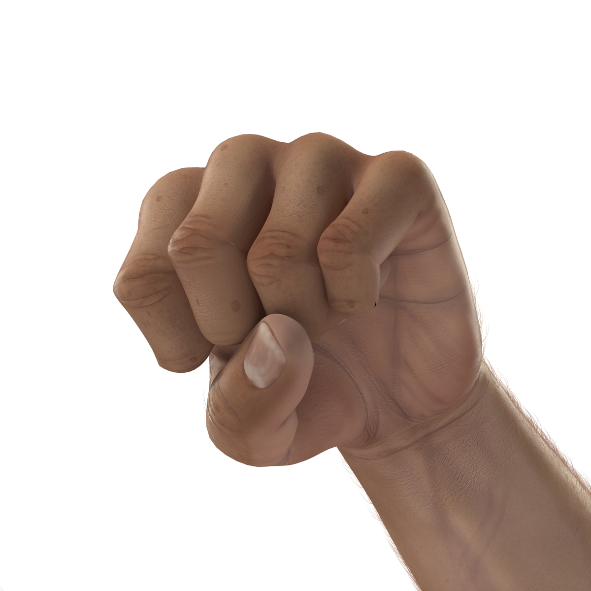 3D model Man Hands with Fur Pose 2