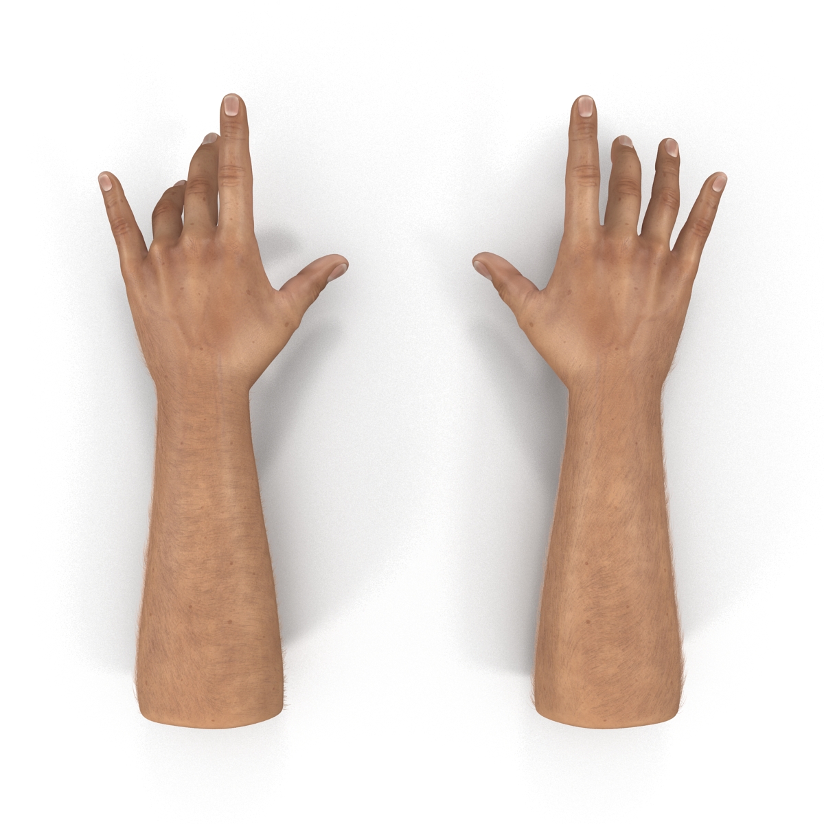 3D model Man Hands with Fur Pose 3