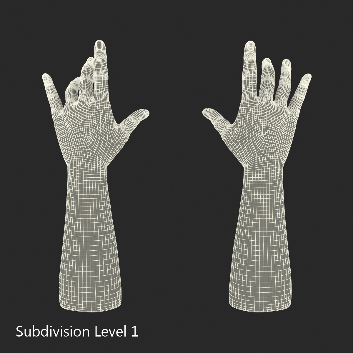 3D model Man Hands with Fur Pose 3