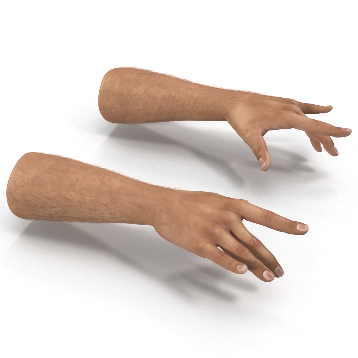 3D model Man Hands with Fur Pose 3