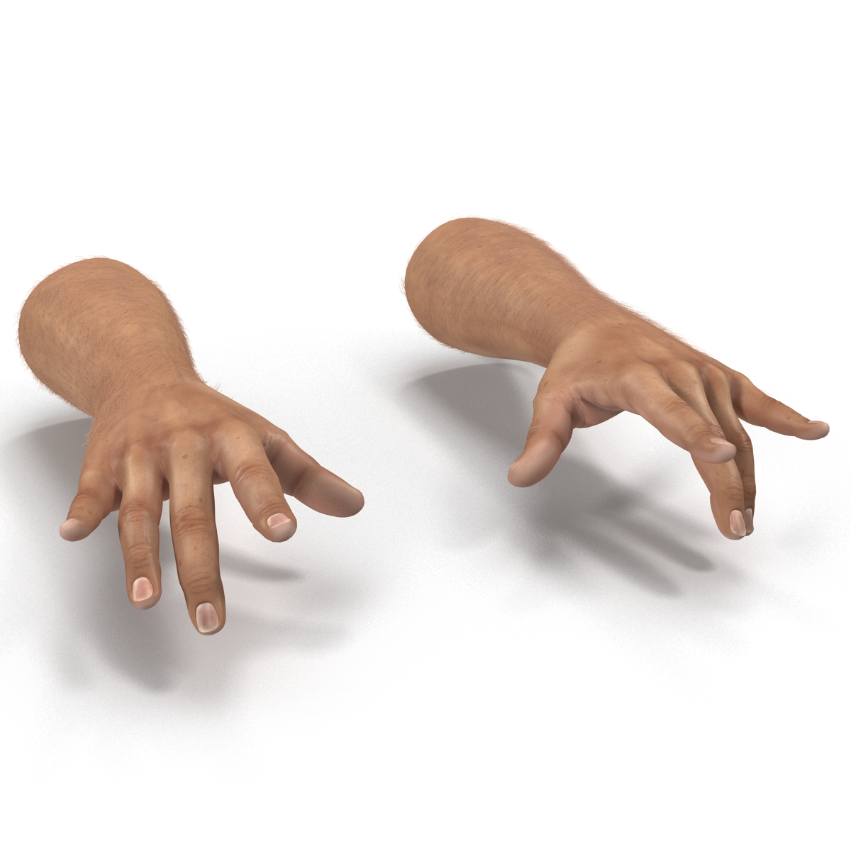 3D model Man Hands with Fur Pose 3