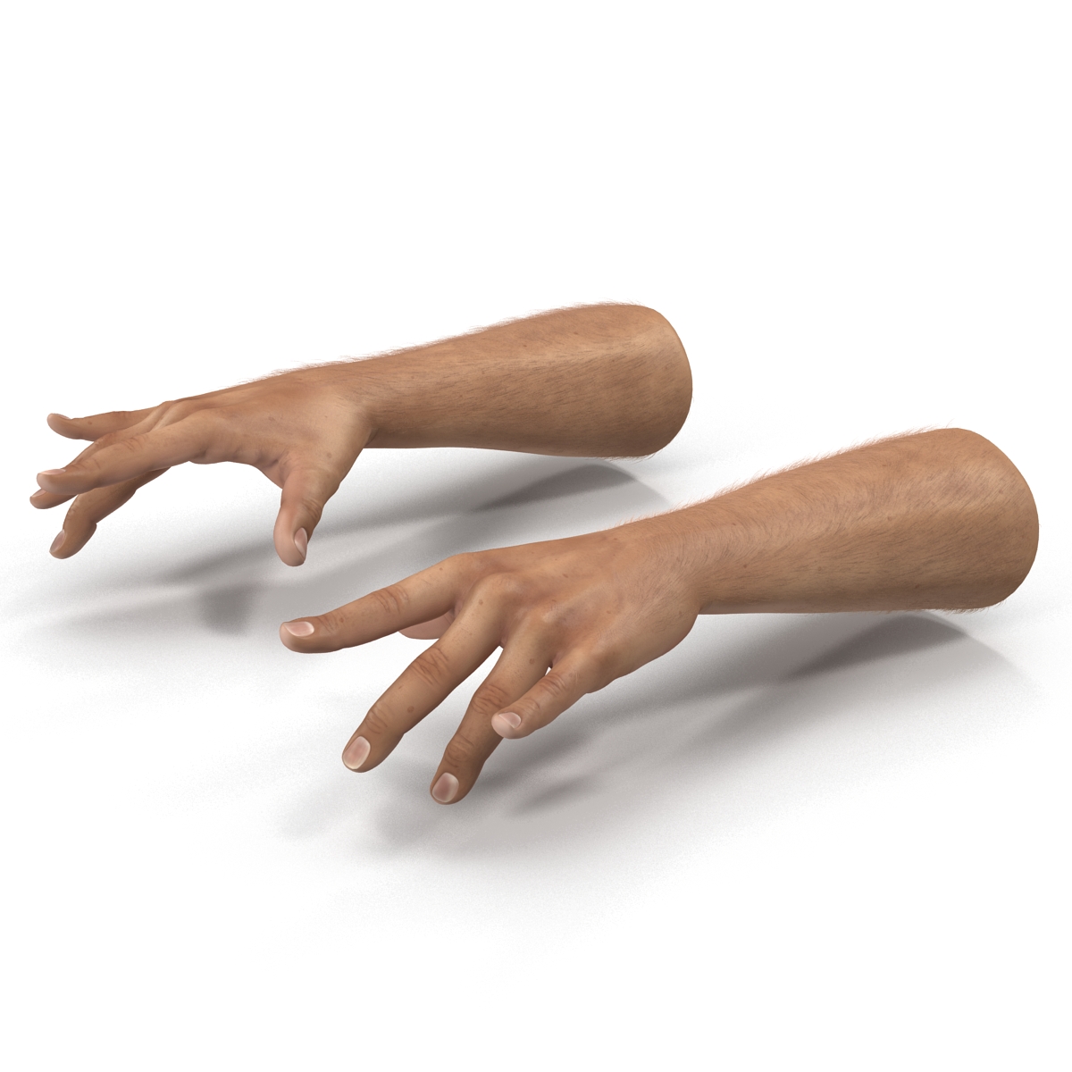 3D model Man Hands with Fur Pose 3