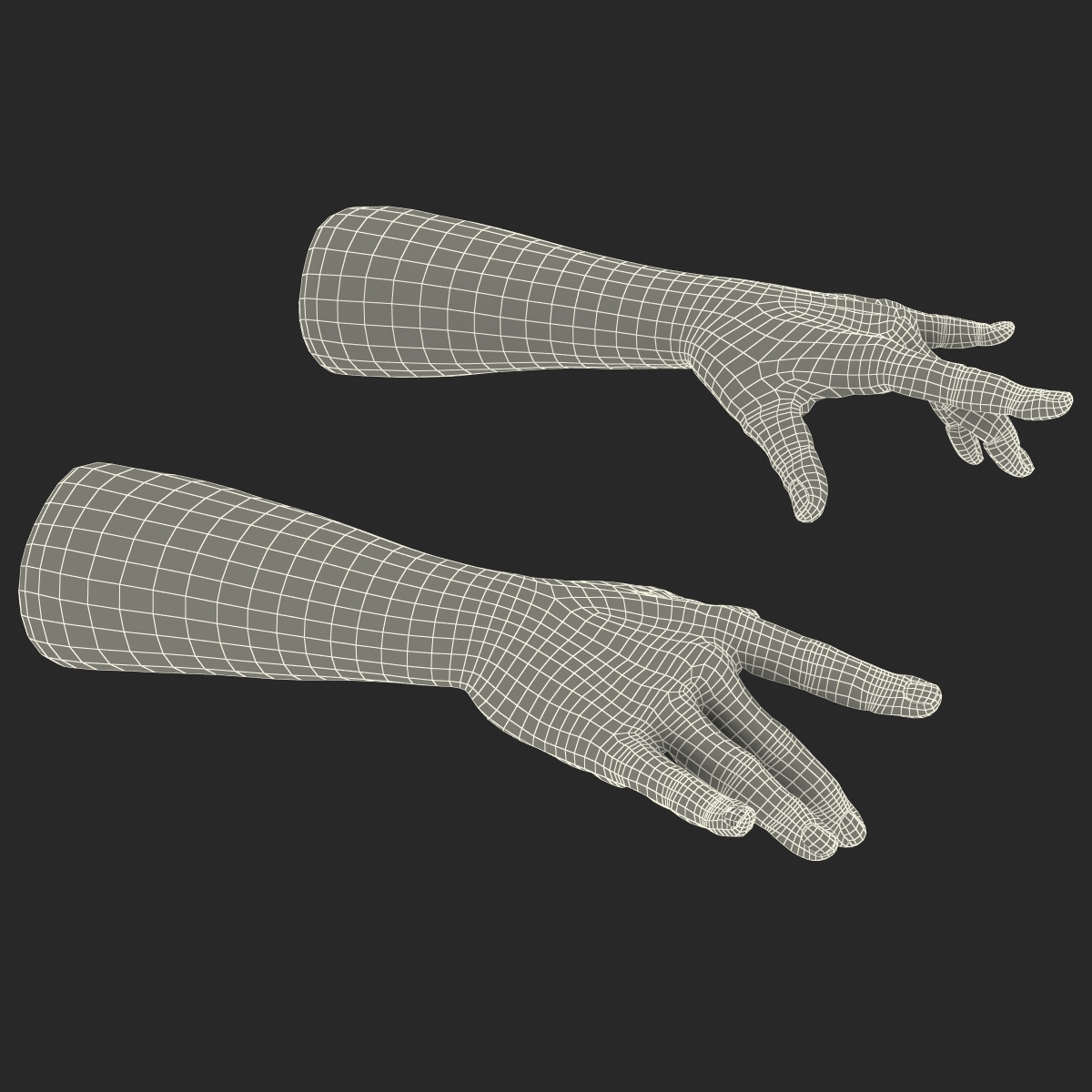 3D model Man Hands with Fur Pose 3