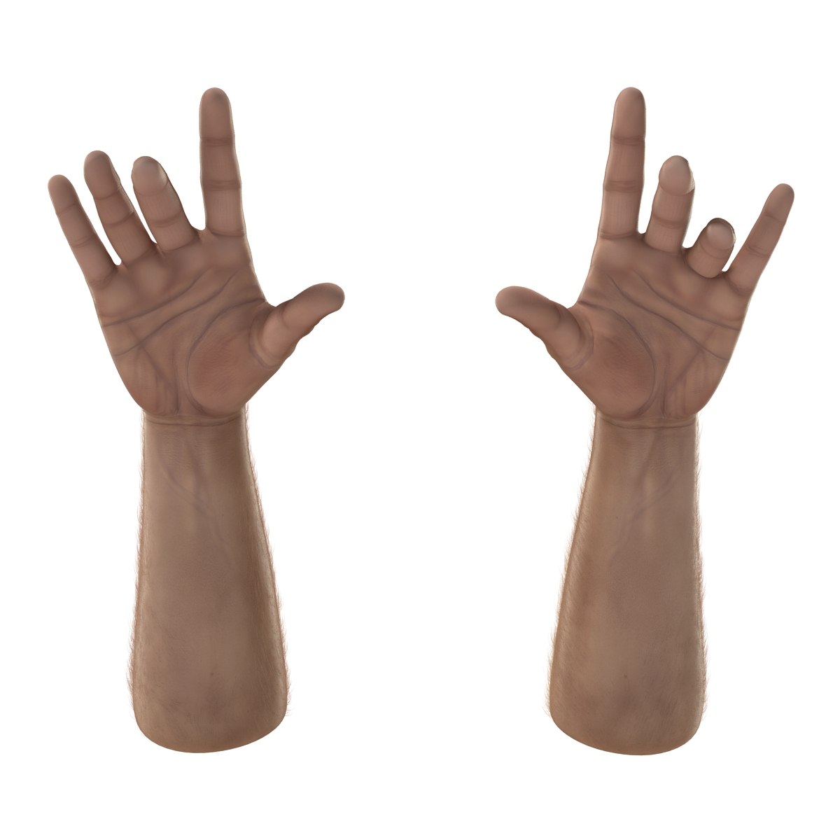 3D model Man Hands with Fur Pose 3