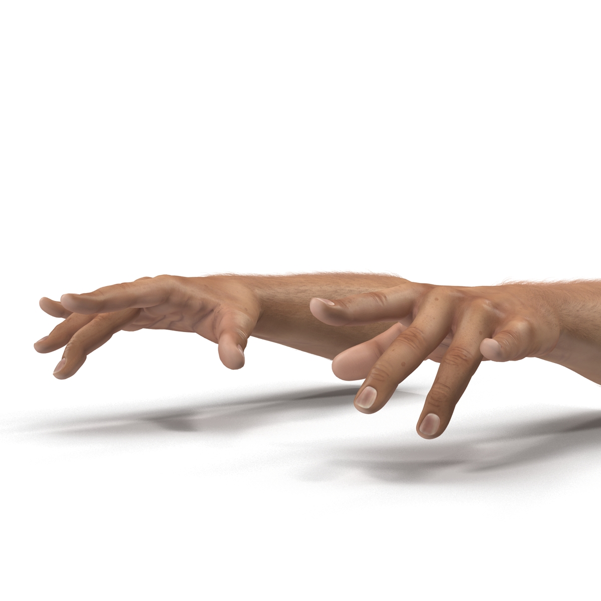 3D model Man Hands with Fur Pose 3