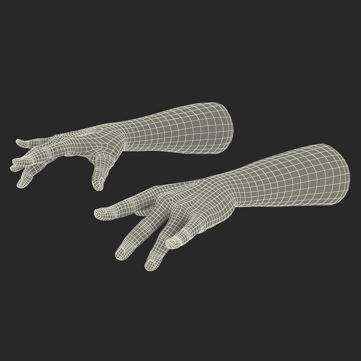 3D model Man Hands with Fur Pose 3