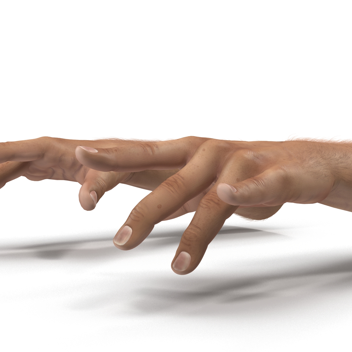 3D model Man Hands with Fur Pose 3