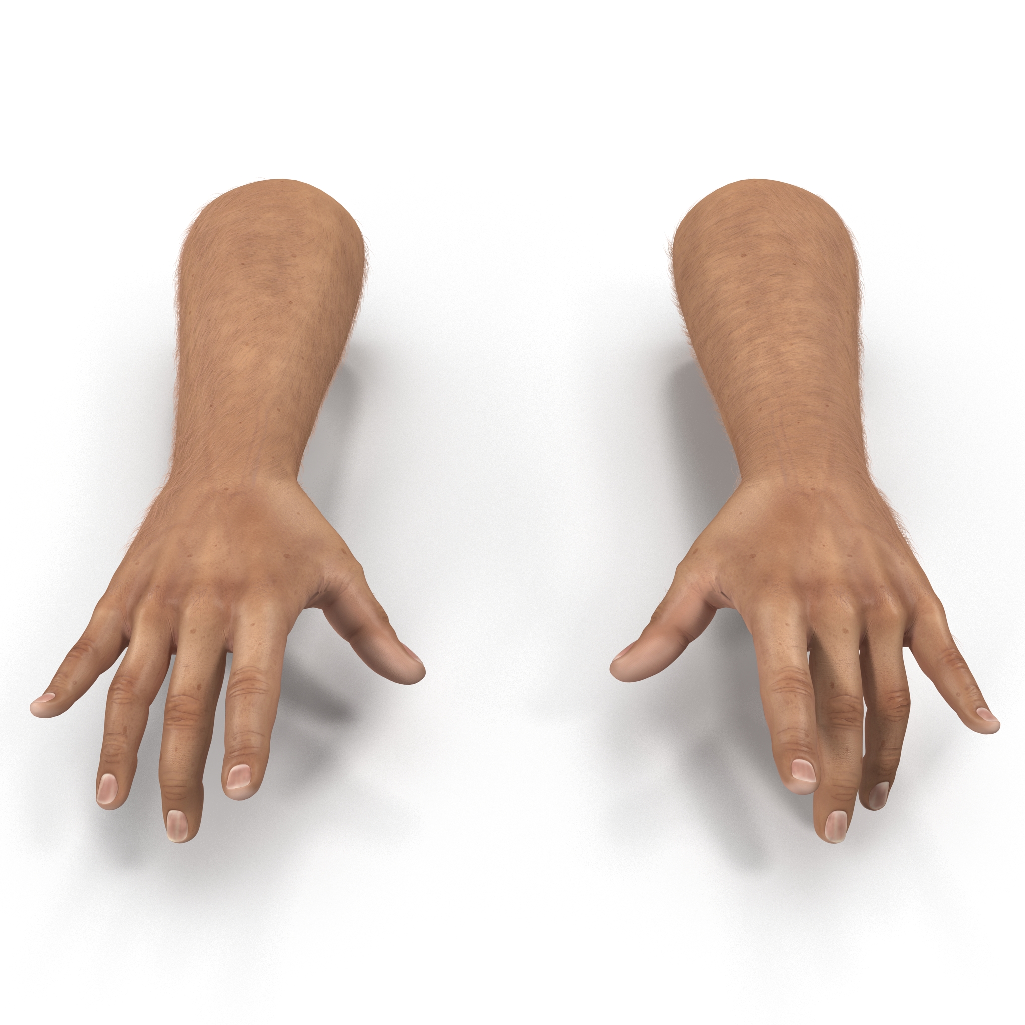 3D model Man Hands with Fur Pose 3