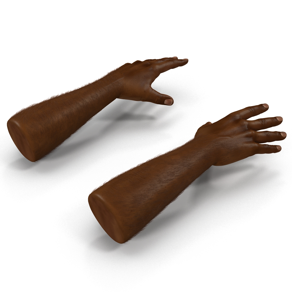 3D African Man Hands with Fur