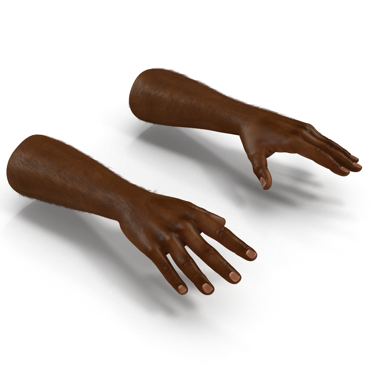 3D African Man Hands with Fur