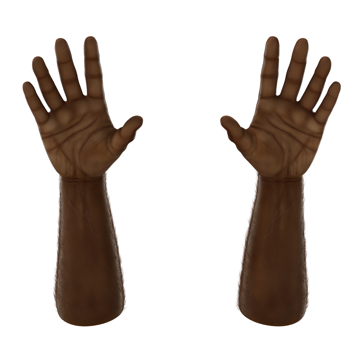 3D African Man Hands with Fur