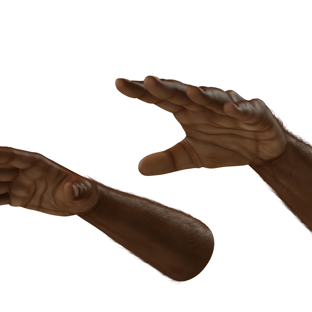 3D African Man Hands with Fur