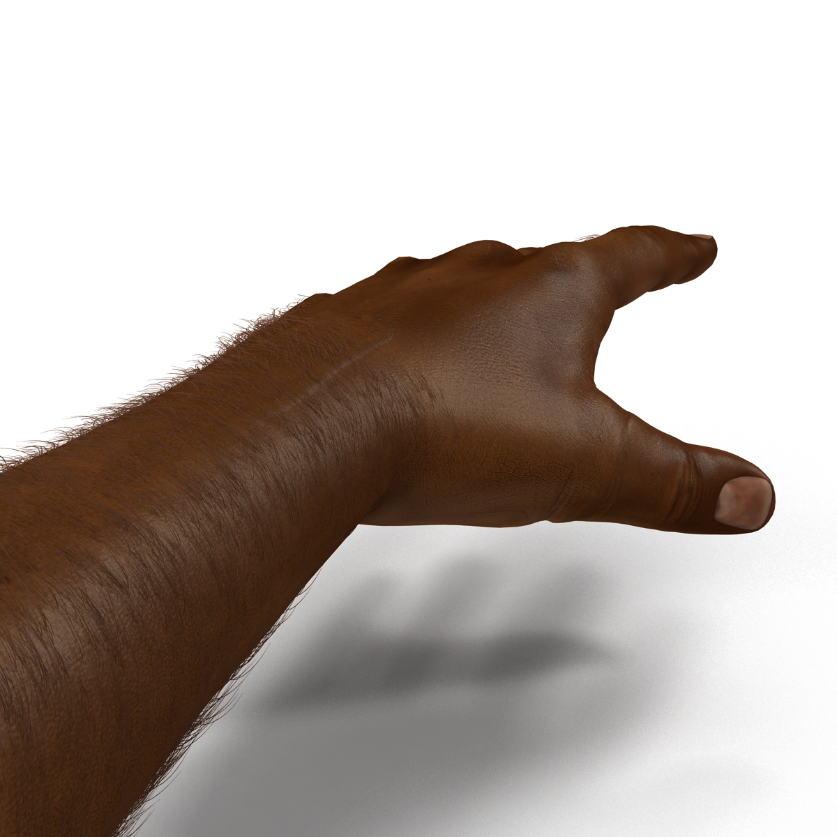 3D African Man Hands with Fur