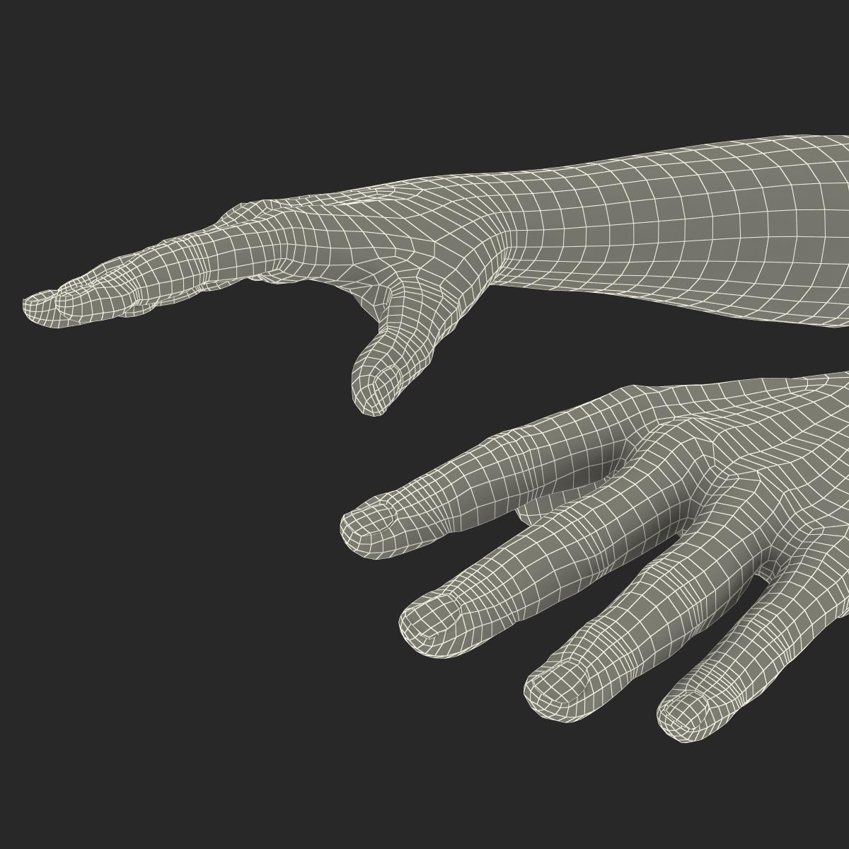 3D African Man Hands with Fur