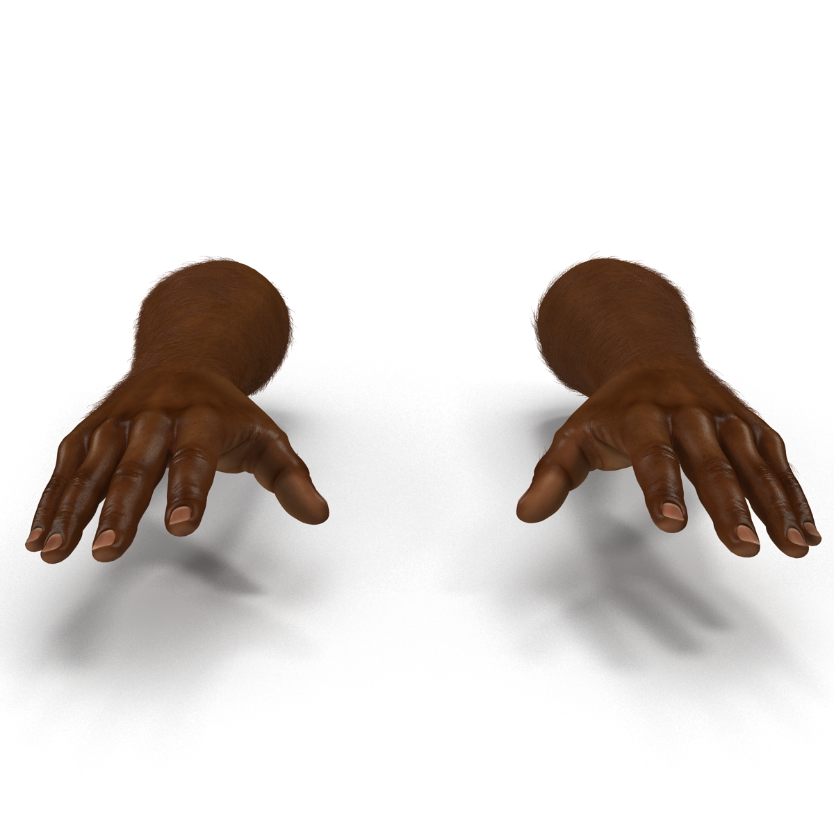 3D African Man Hands with Fur Pose 2 model