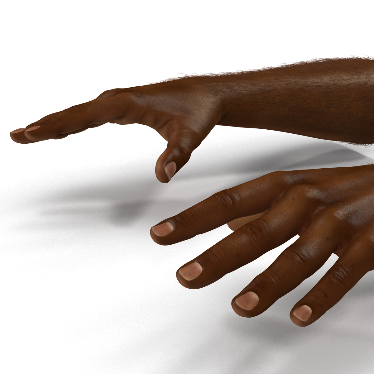 3D African Man Hands with Fur Pose 2 model